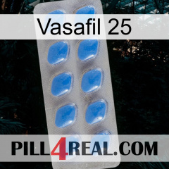Vasafil 25 22